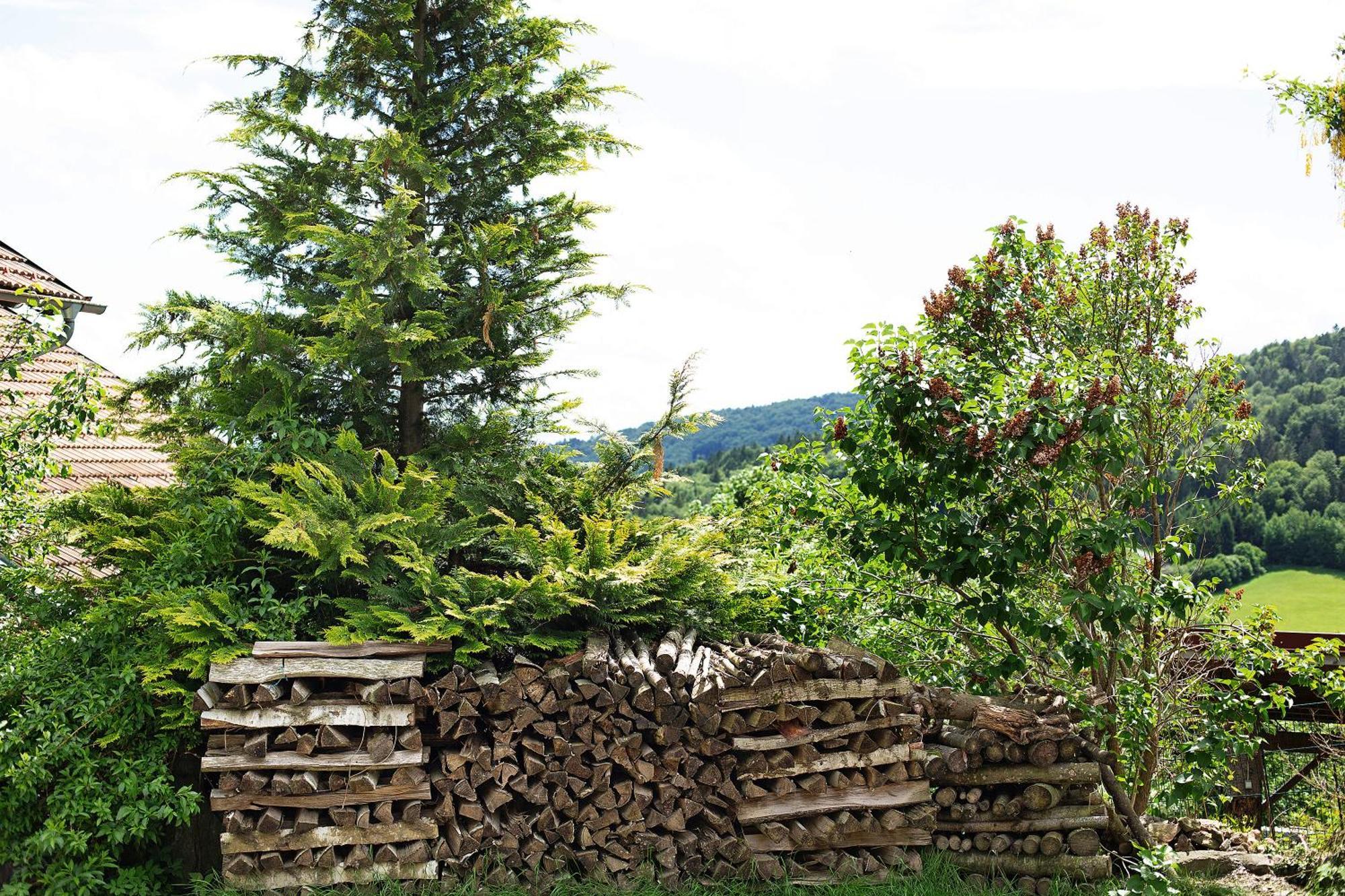 Landhaus Am Eselhof Daxstein Schöllnach Εξωτερικό φωτογραφία