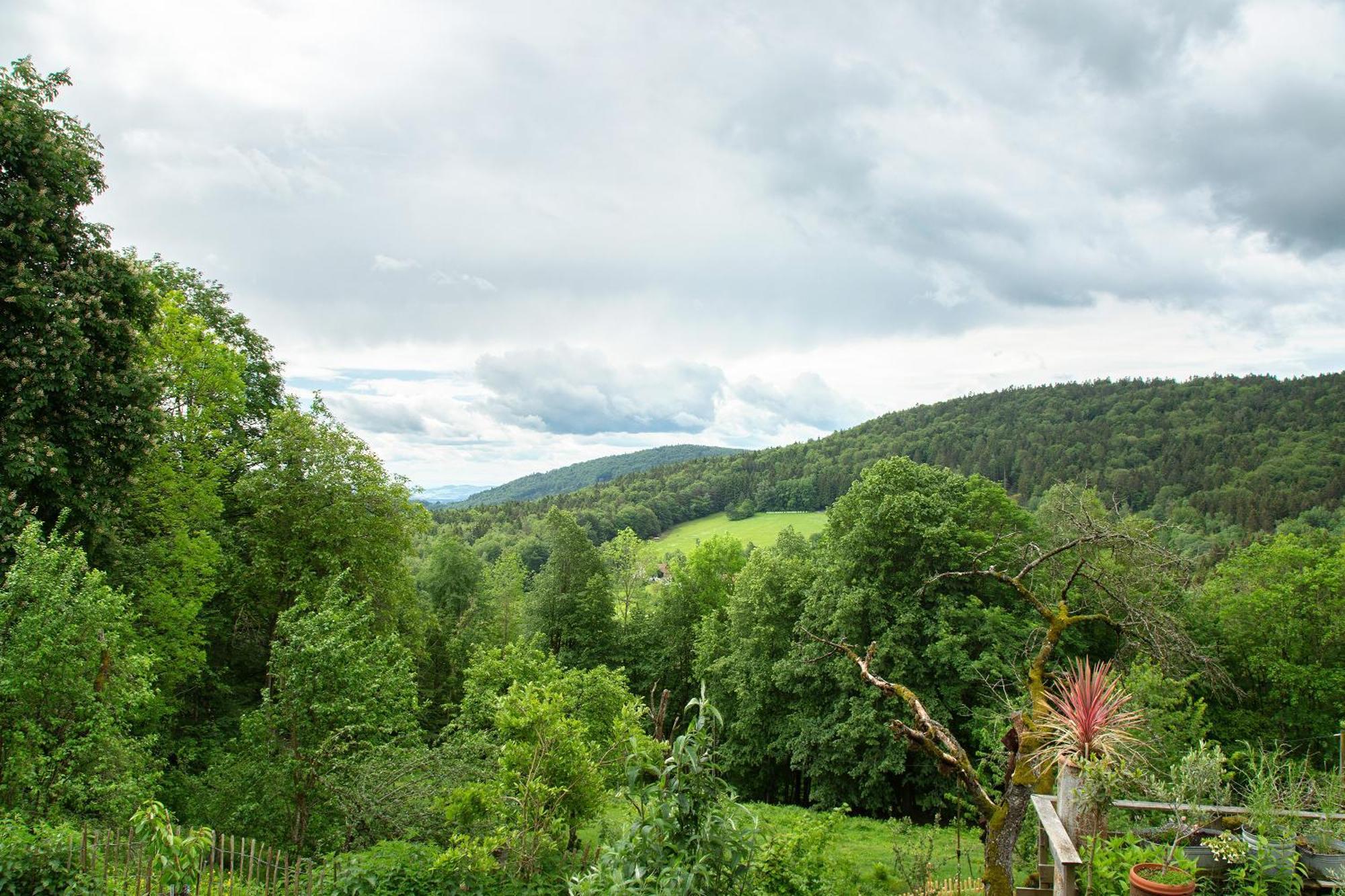 Landhaus Am Eselhof Daxstein Schöllnach Εξωτερικό φωτογραφία